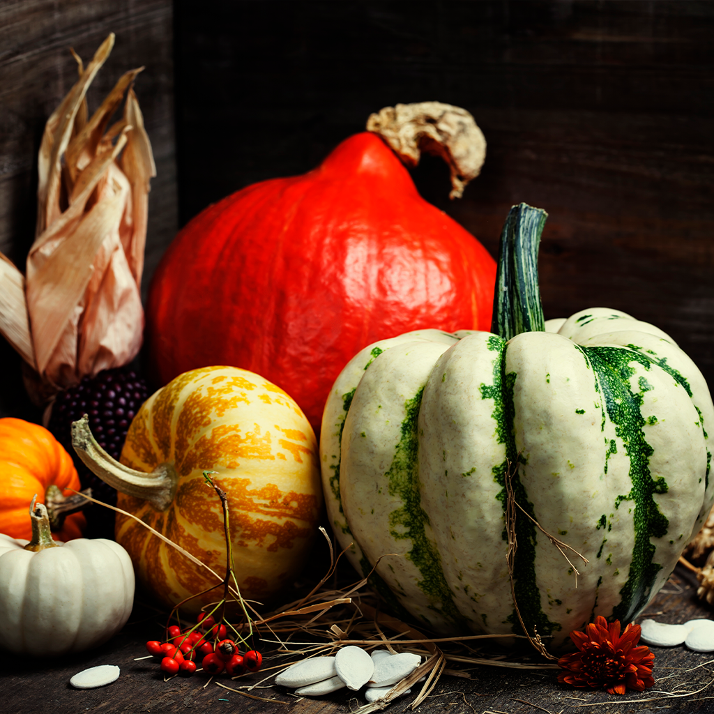Pumpkin Seed Milk &ndash; Kuvings Cambodia